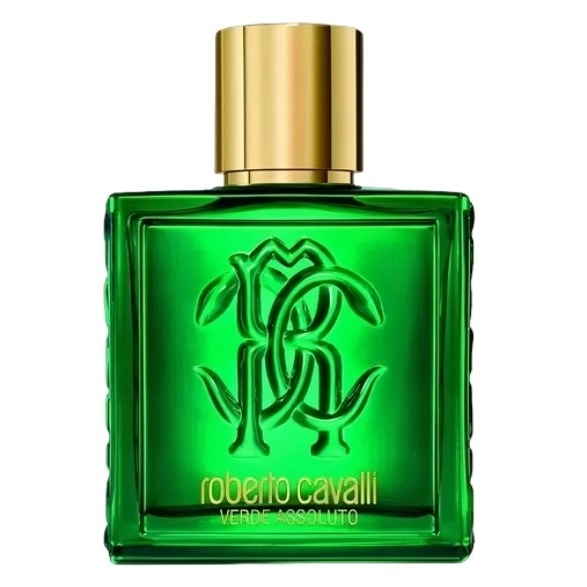 Фото Roberto Cavalli Uomo Verde Assoluto