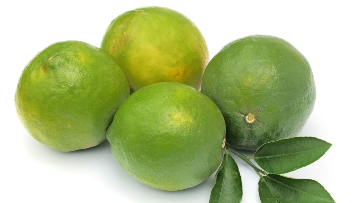 Фото Лиметта