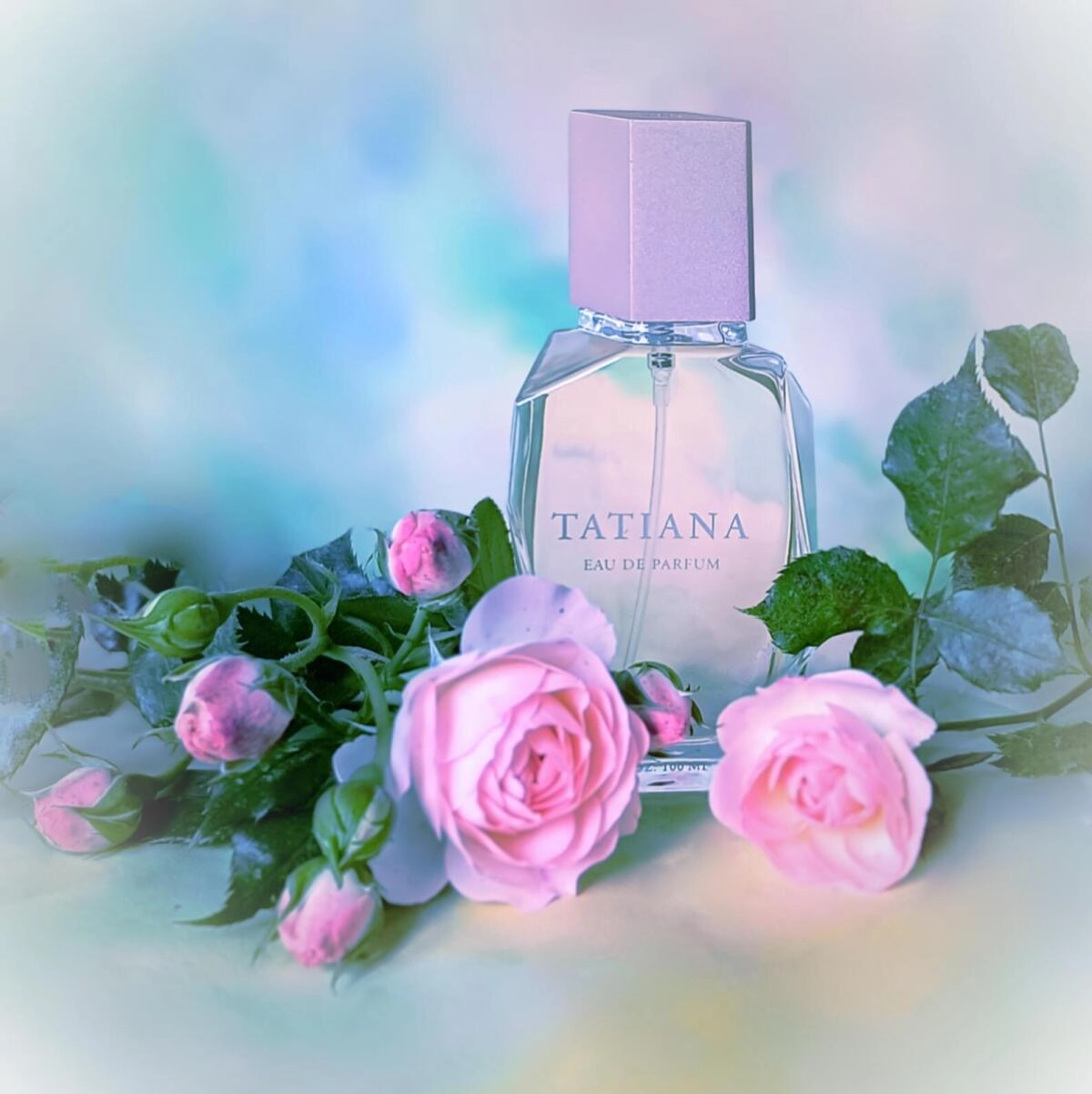 Diane Von Furstenberg Tatiana Diane Von Furstenberg Tatiana