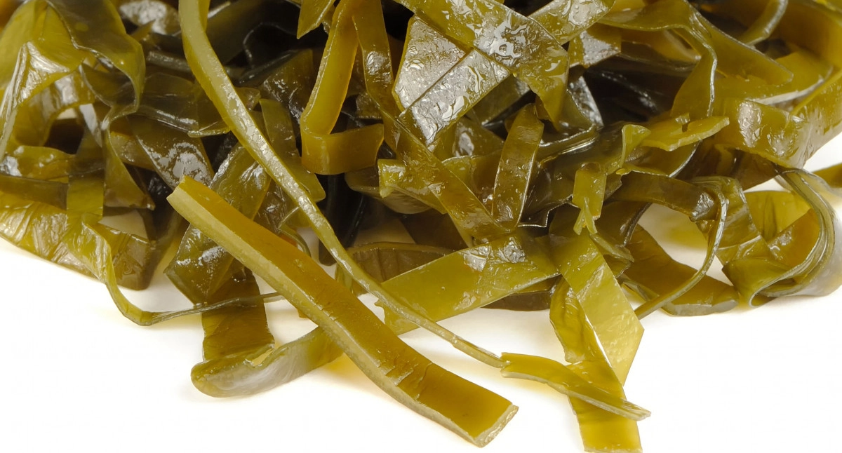 Фото Ламинария