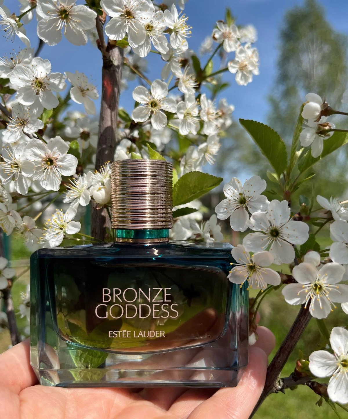 Estee Lauder Bronze Goddess Nuit Estee Lauder Bronze Goddess Nuit