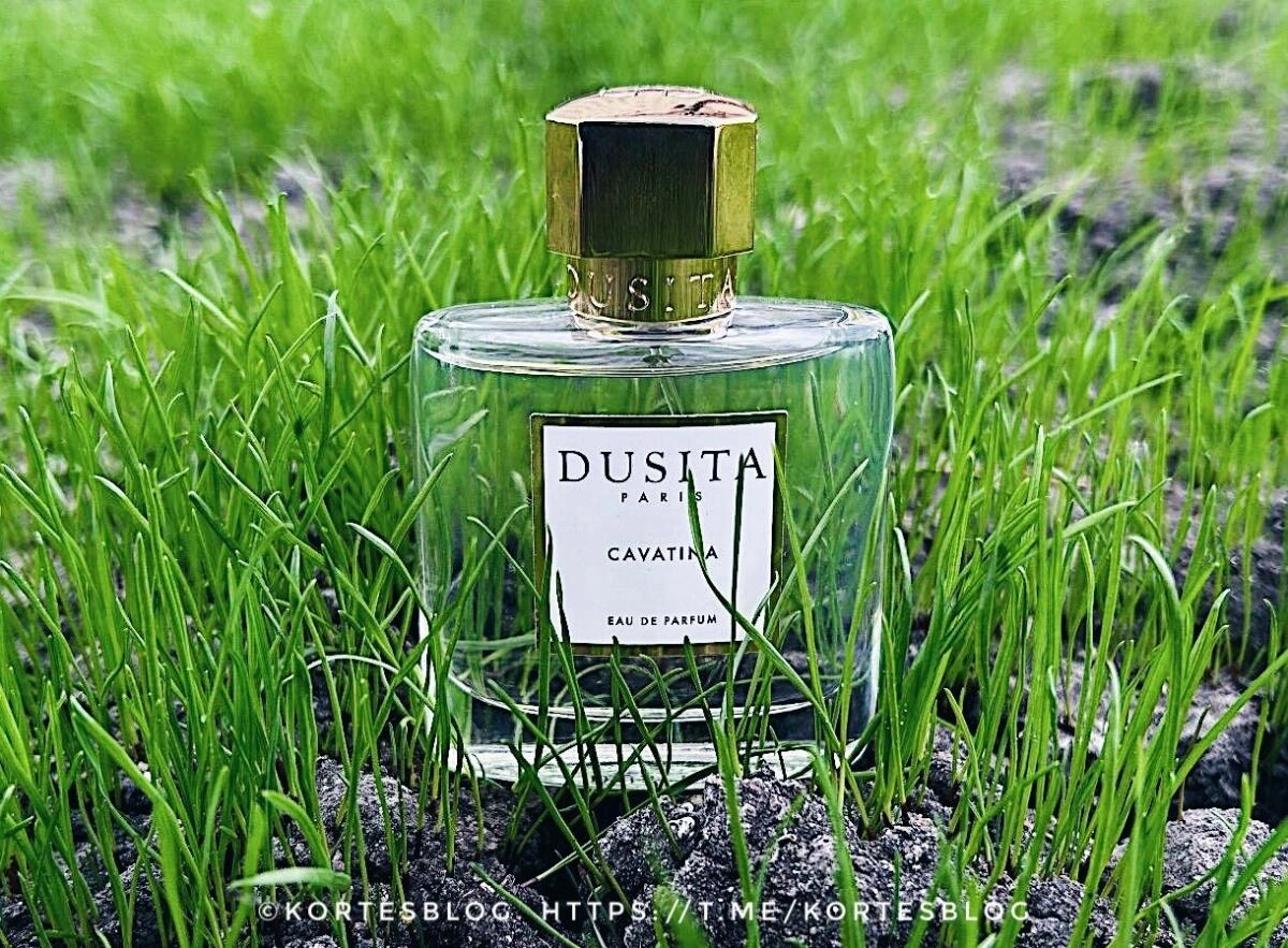Dusita Cavatina Dusita Cavatina