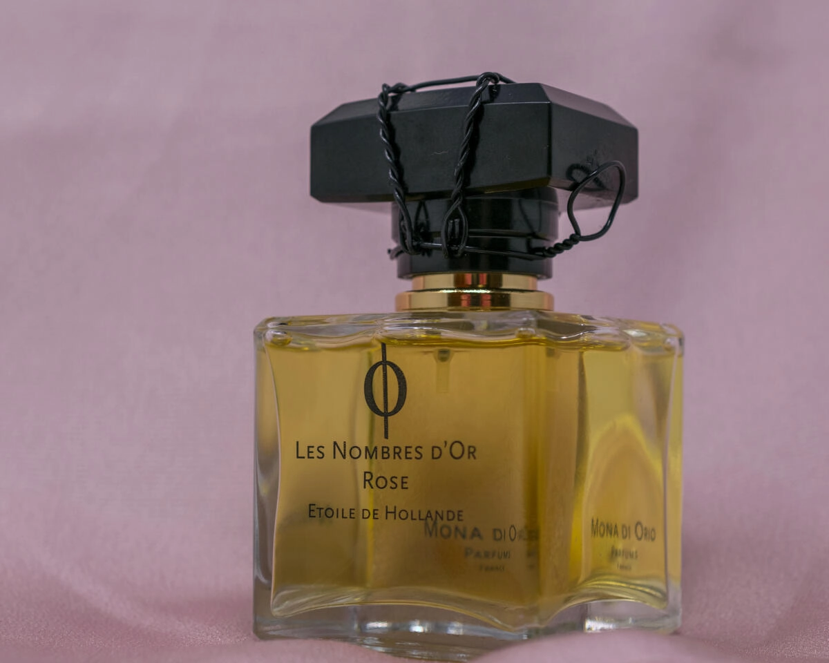 Mona di Orio Rose Etoile de Hollande Mona di Orio Rose Etoile de Hollande