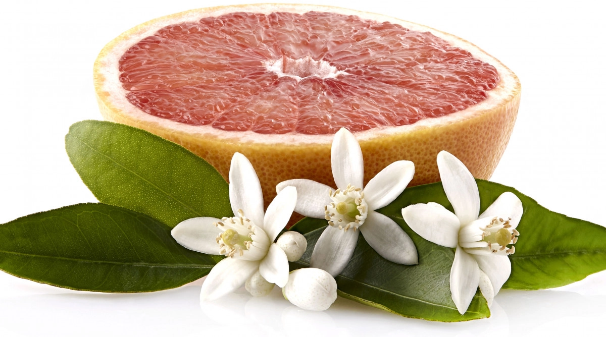 Фото Grapefruit Blossom