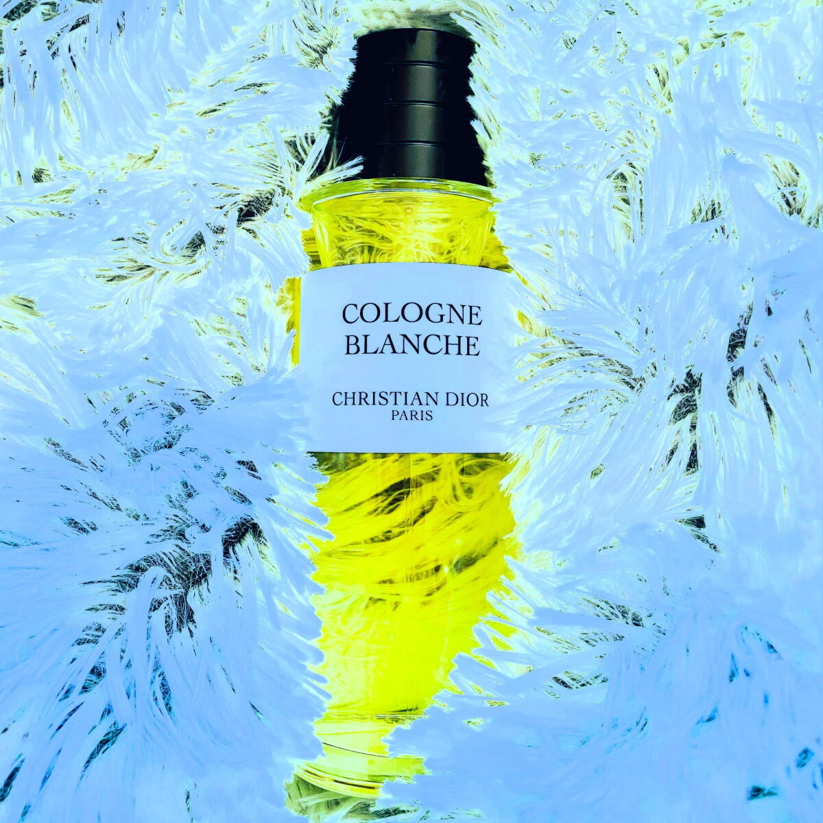 Christian Dior Cologne Blanche Christian Dior Cologne Blanche