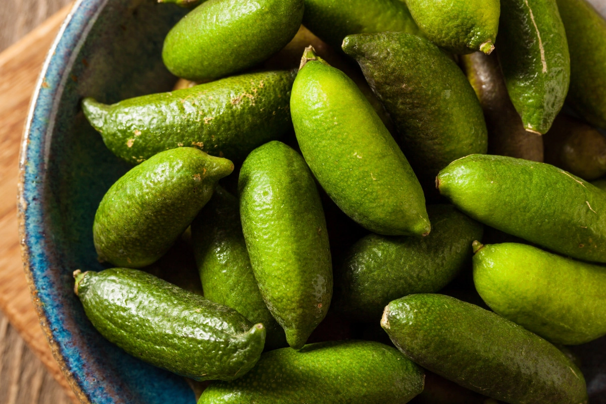 Фото Цитрус пальчиковый лайм