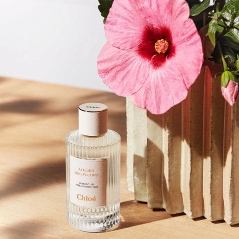 Фото Chloe Atelier Des Fleurs Hibiscus Abelmoschus