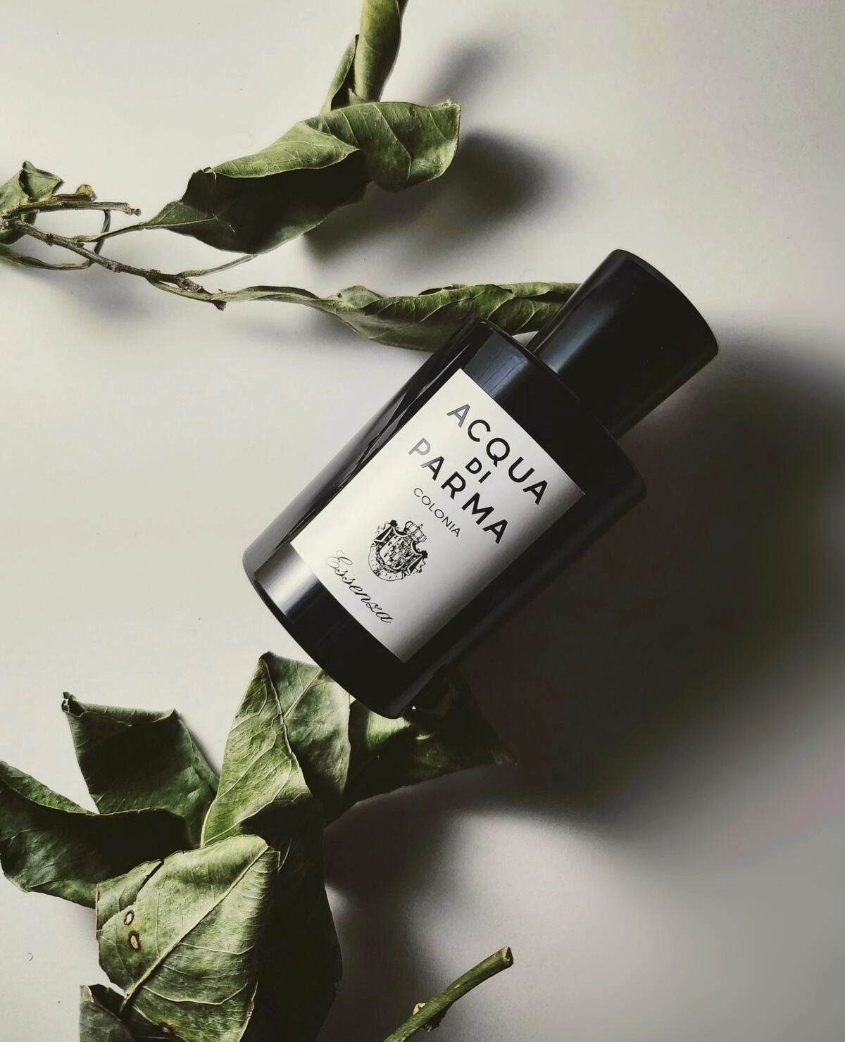 Acqua di Parma Colonia Essenza Acqua di Parma Colonia Essenza