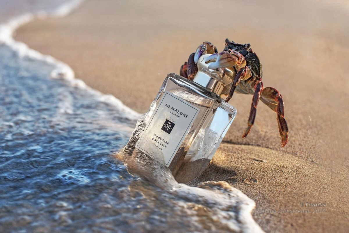 Jo Malone Wood Sage & Sea Salt Jo Malone Wood Sage & Sea Salt