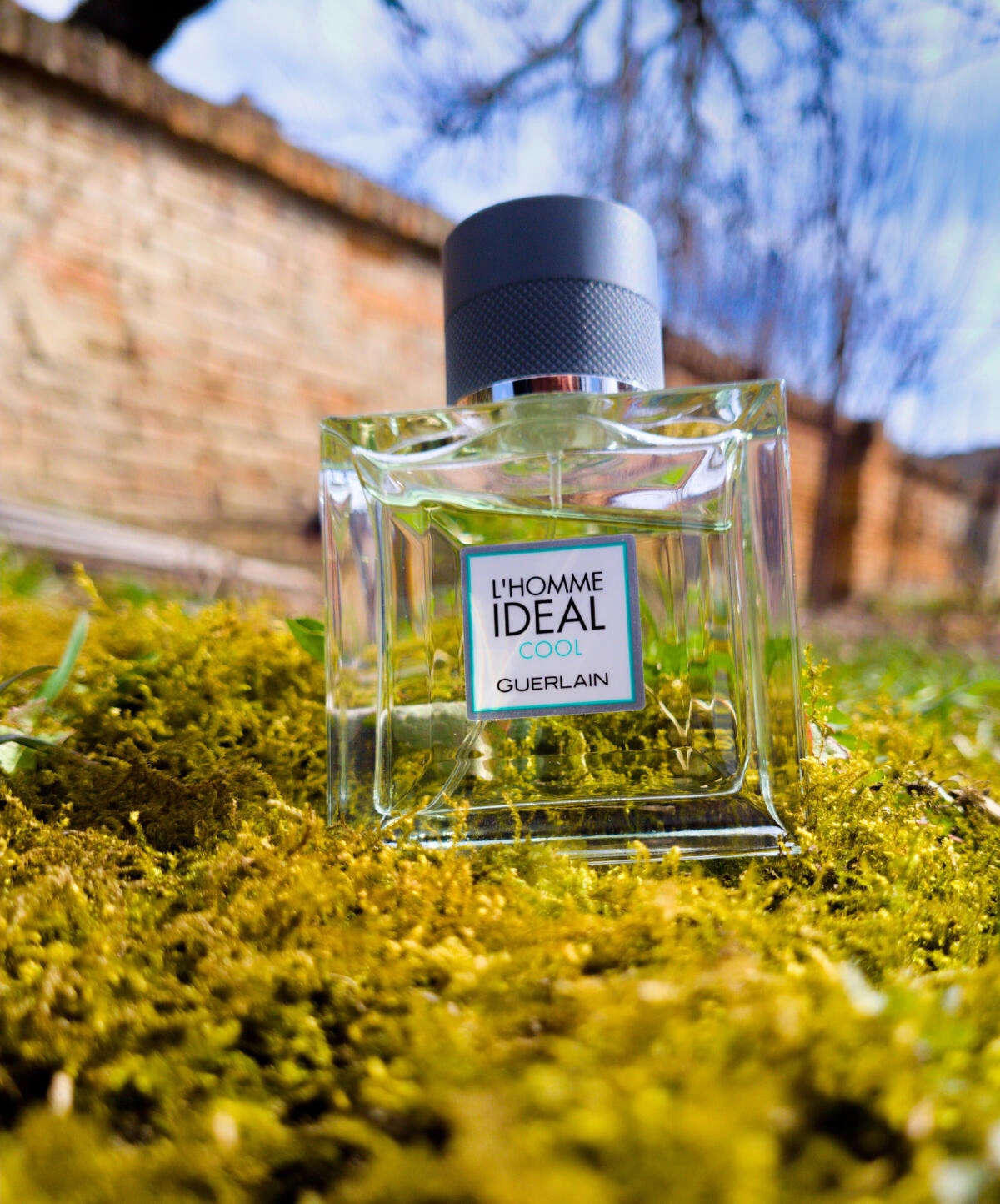 Guerlain L’Homme Ideal Cool Guerlain L’Homme Ideal Cool