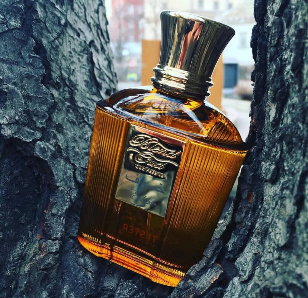 Blend Oud Eclipse Blend Oud Eclipse