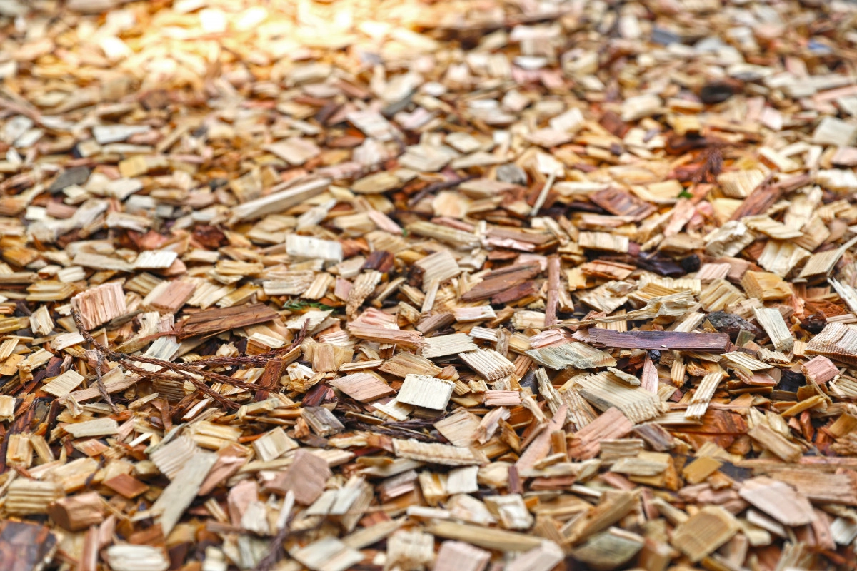 Фото Древесные ноты