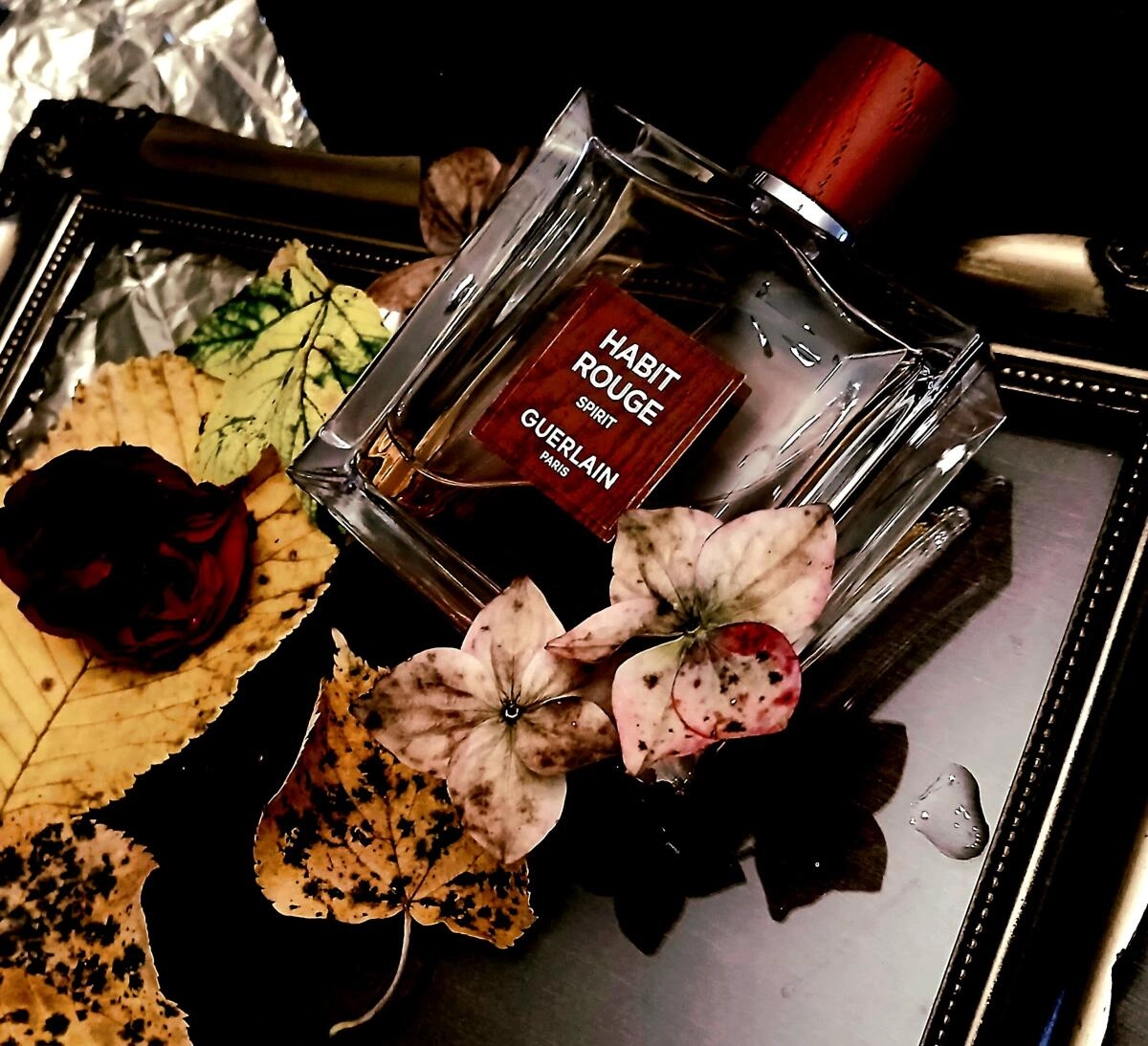 Guerlain Habit Rouge Spirit Guerlain Habit Rouge Spirit