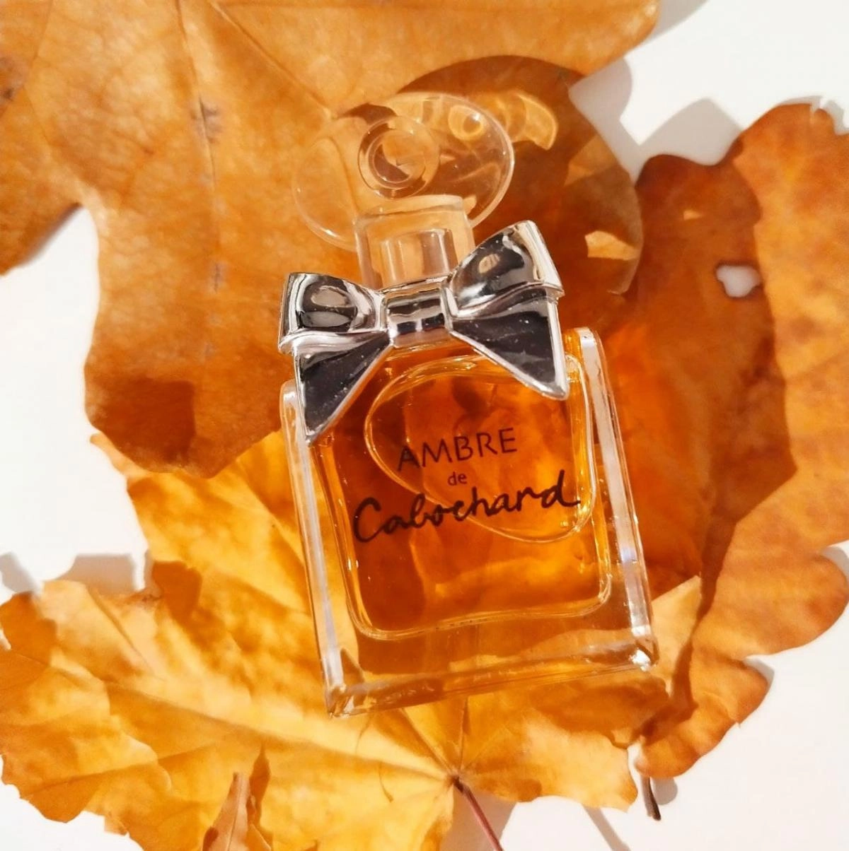 Gres Ambre de Cabochard Gres Ambre de Cabochard