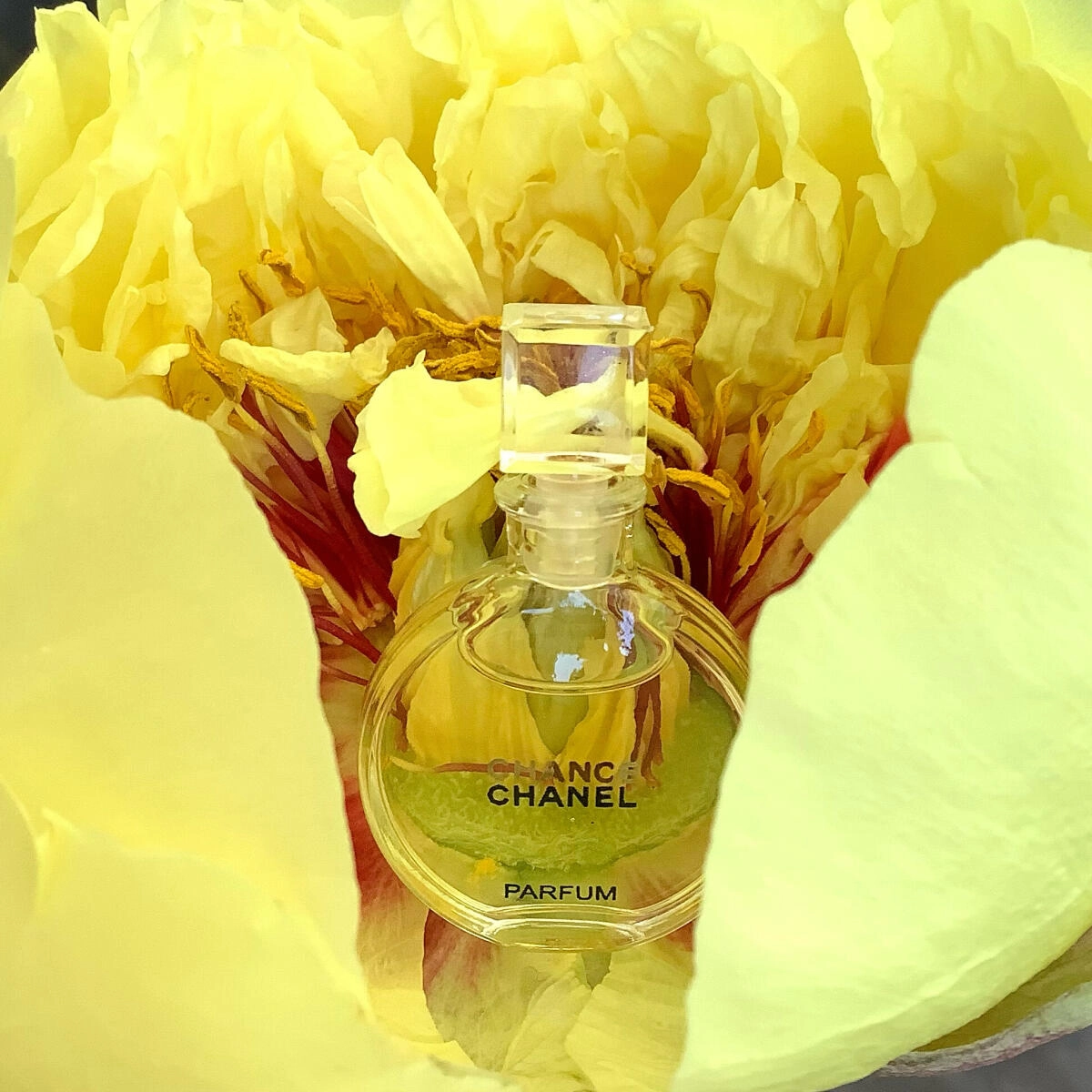 Chanel Chance Parfum Chanel Chance Parfum