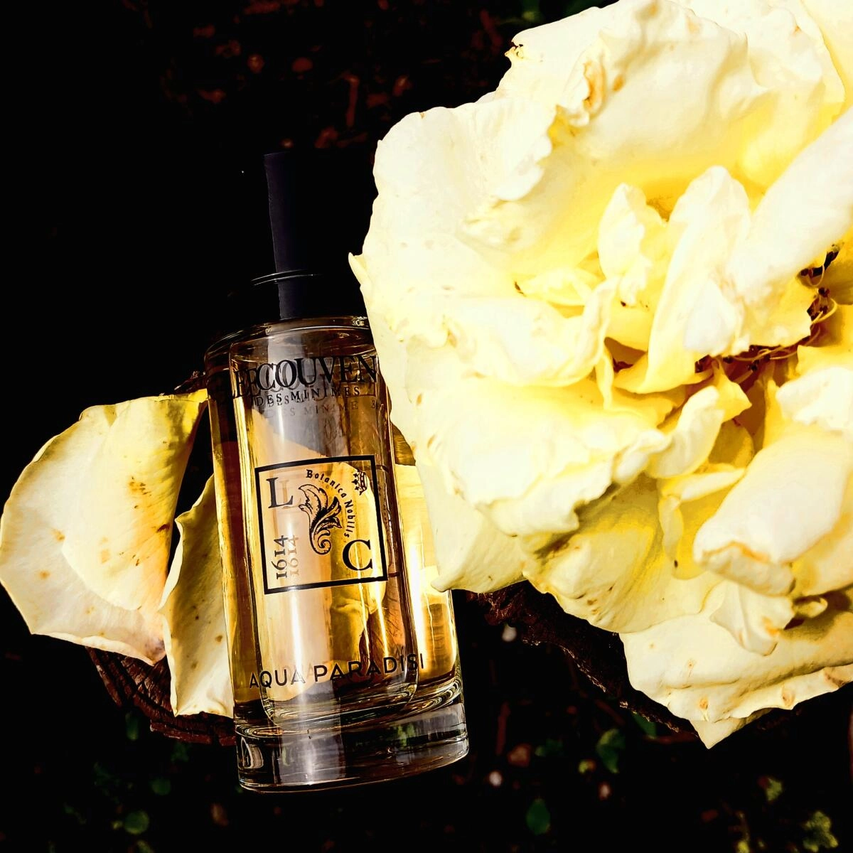 Le Couvent Maison de Parfum Aqua Paradisi Le Couvent Maison de Parfum Aqua Paradisi