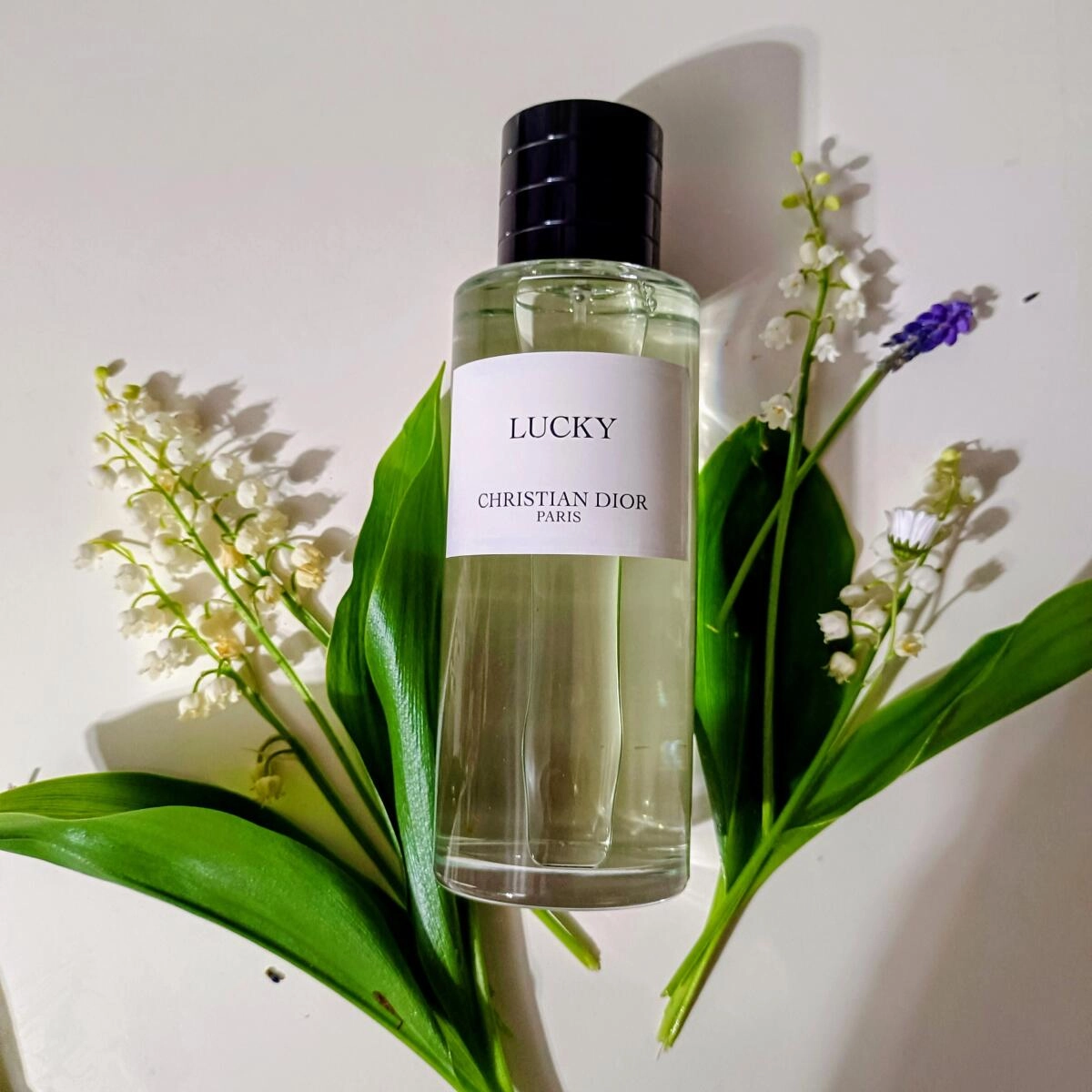 Christian Dior Lucky Christian Dior Lucky