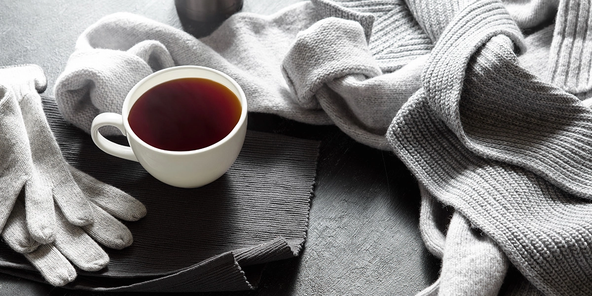 Фото Кашемировое дерево