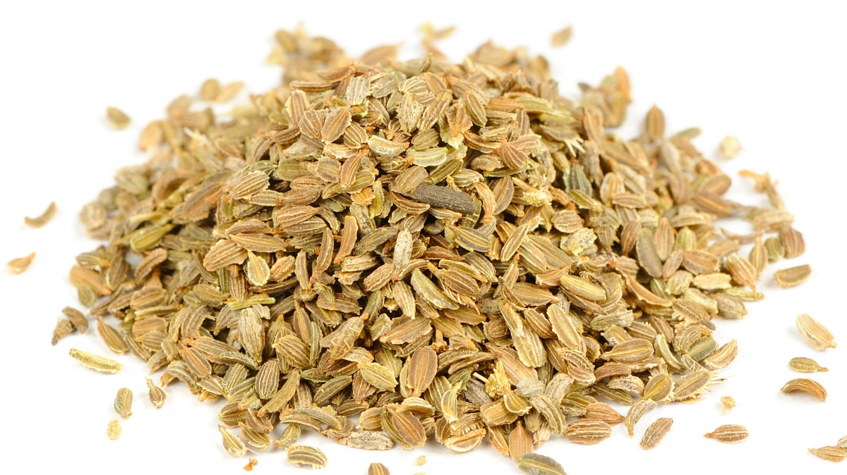 Фото Морковь