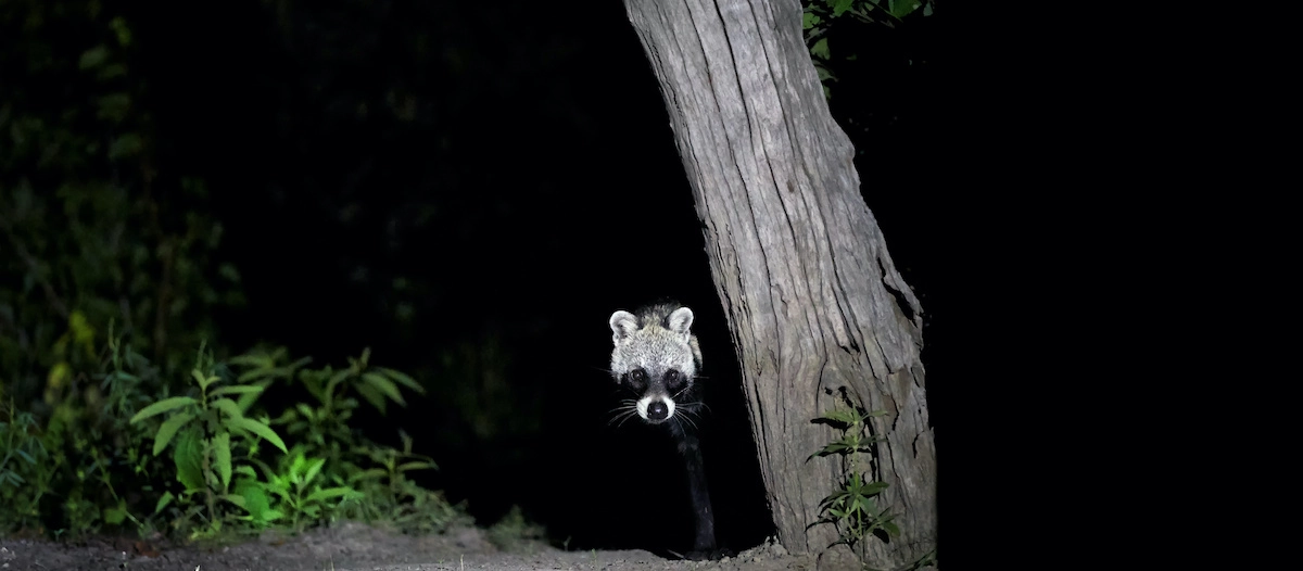 Фото Альдрон
