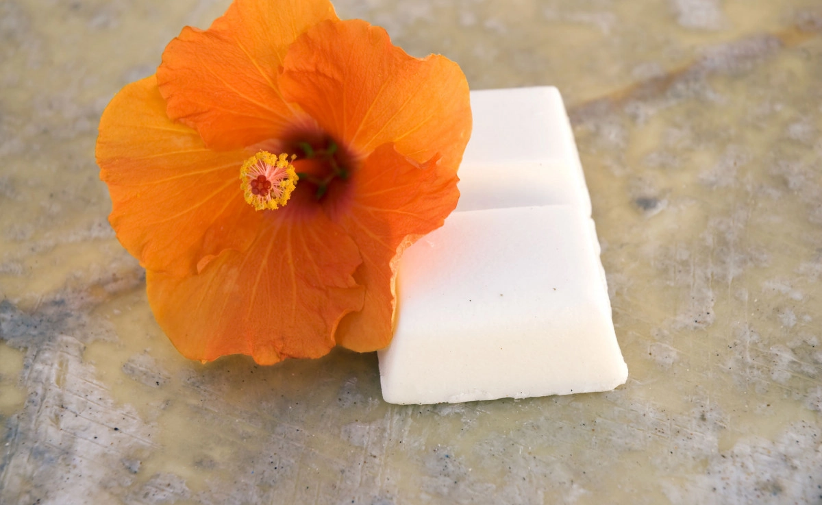 Фото Серф-воск