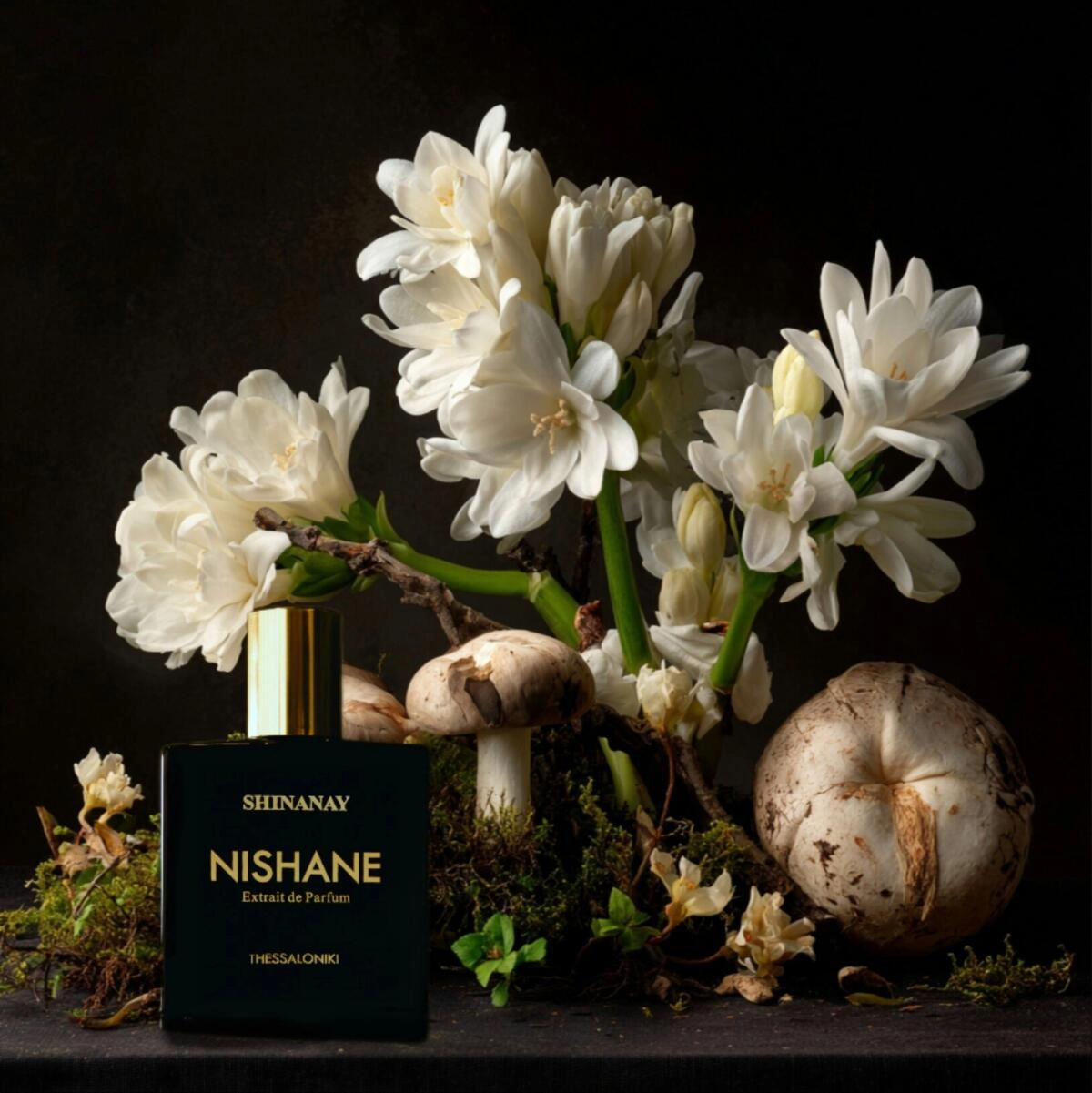 NISHANE Shinanay NISHANE Shinanay