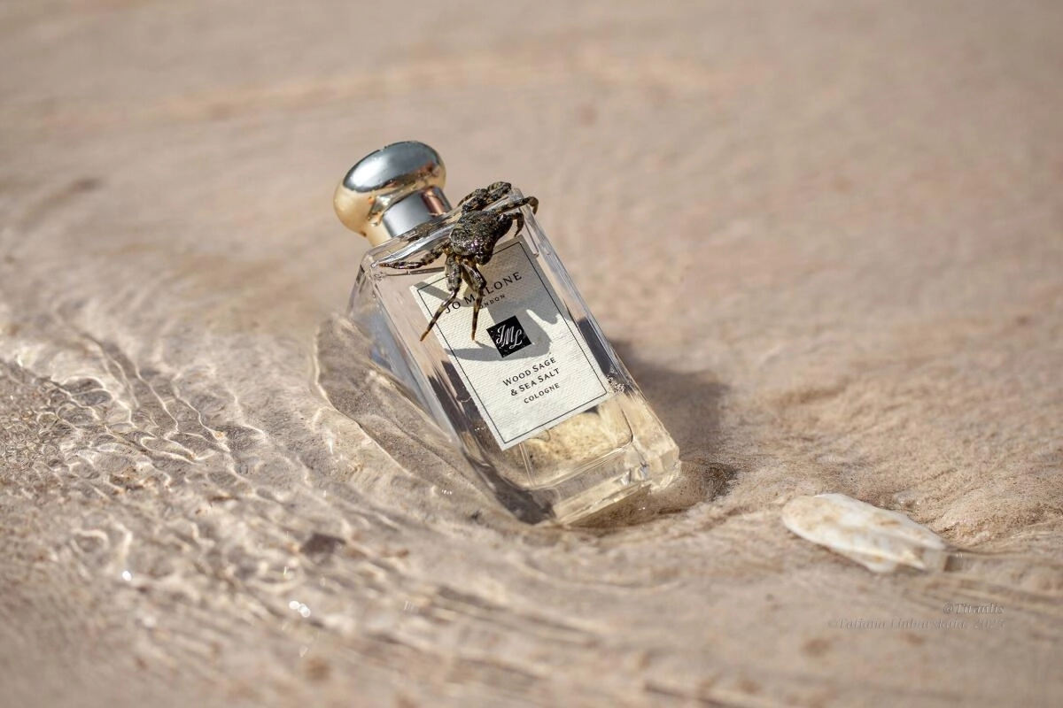 Jo Malone Wood Sage & Sea Salt Jo Malone Wood Sage & Sea Salt