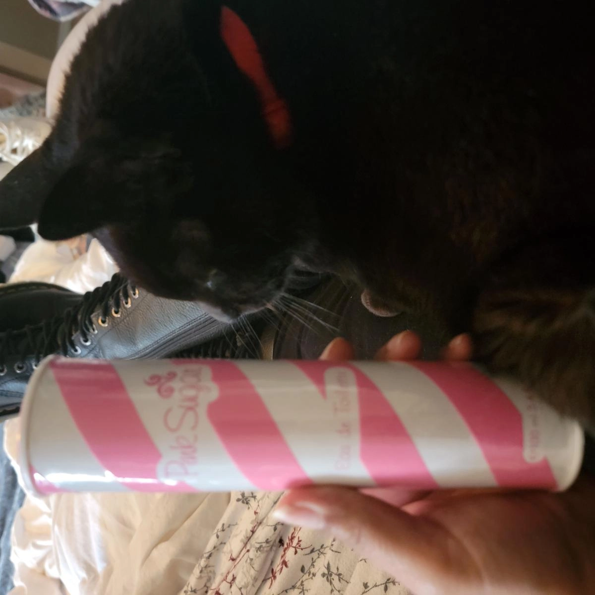 Aquolina Pink Sugar Sensual Aquolina Pink Sugar Sensual