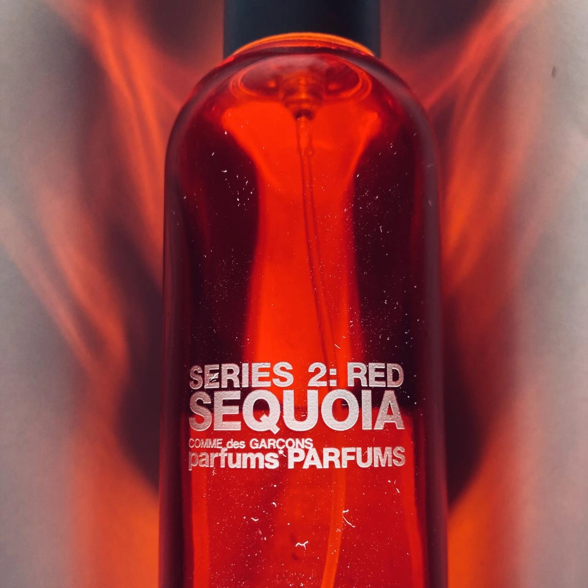 Comme des Garcons Series 2: Red Sequoia Comme des Garcons Series 2: Red Sequoia