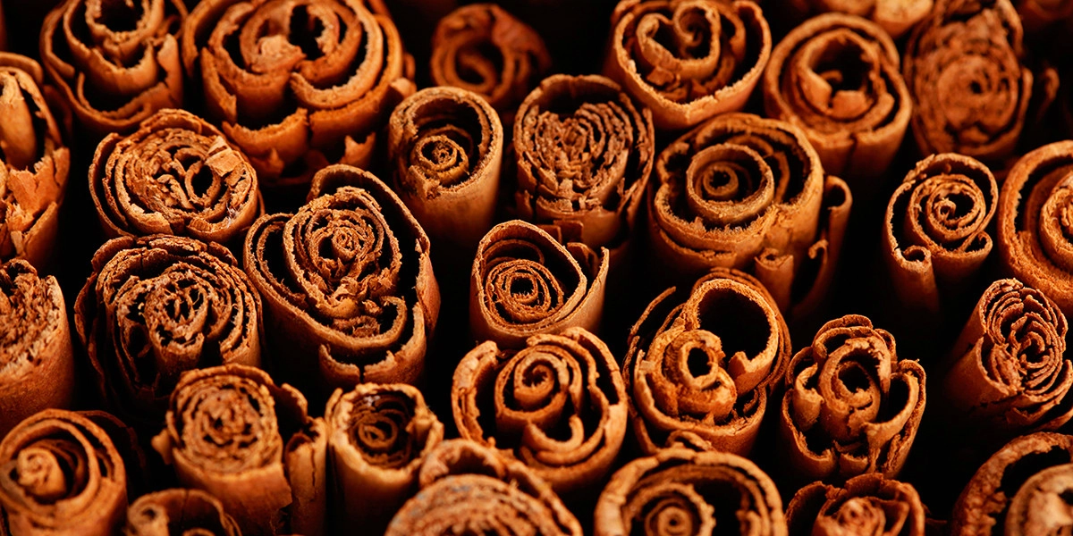 Фото Корица