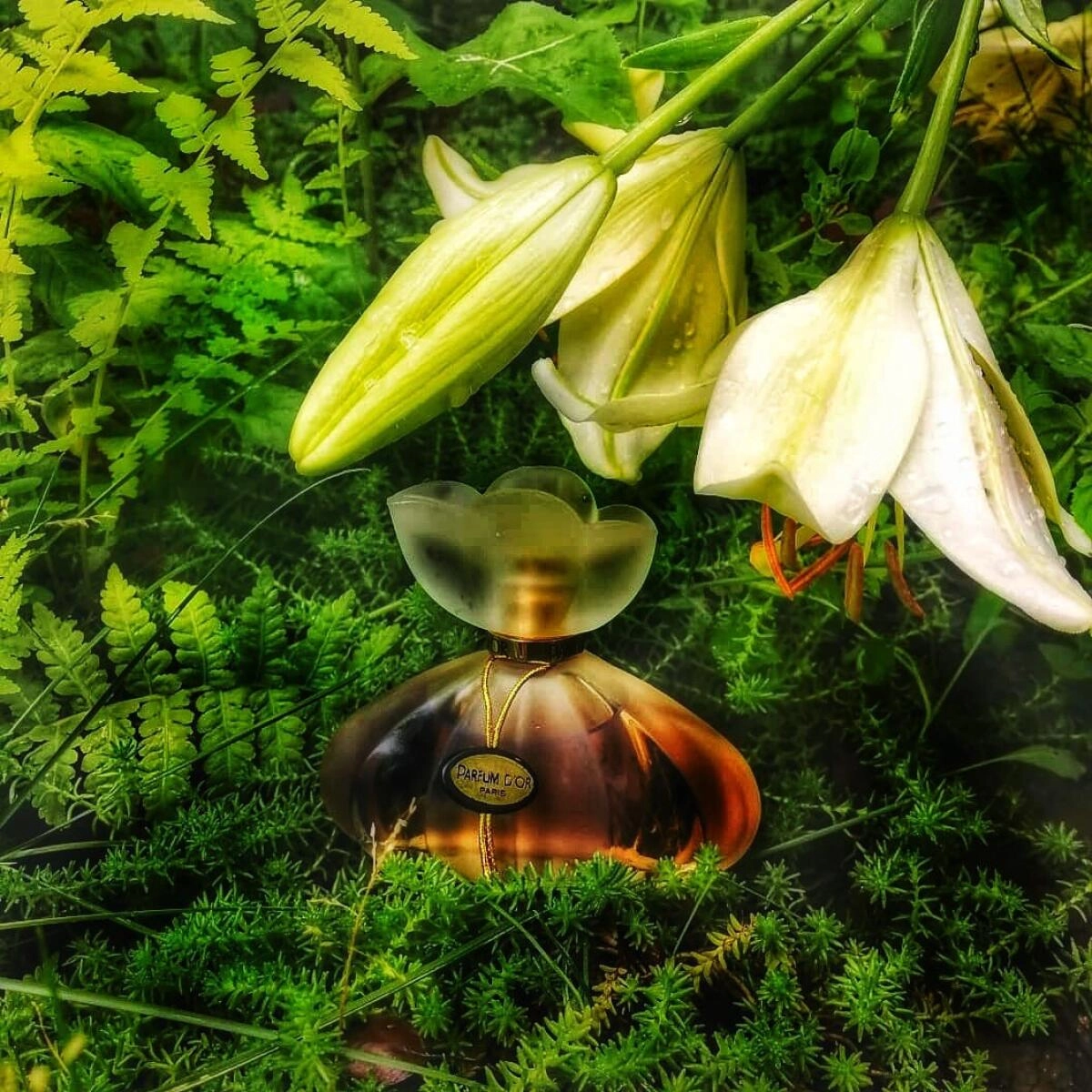 Kristel Saint Martin Parfum D’Or Kristel Saint Martin Parfum D’Or