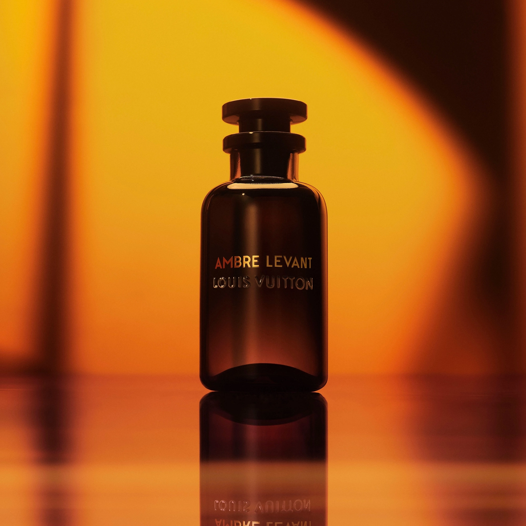 Фото Louis Vuitton Ambre Levant