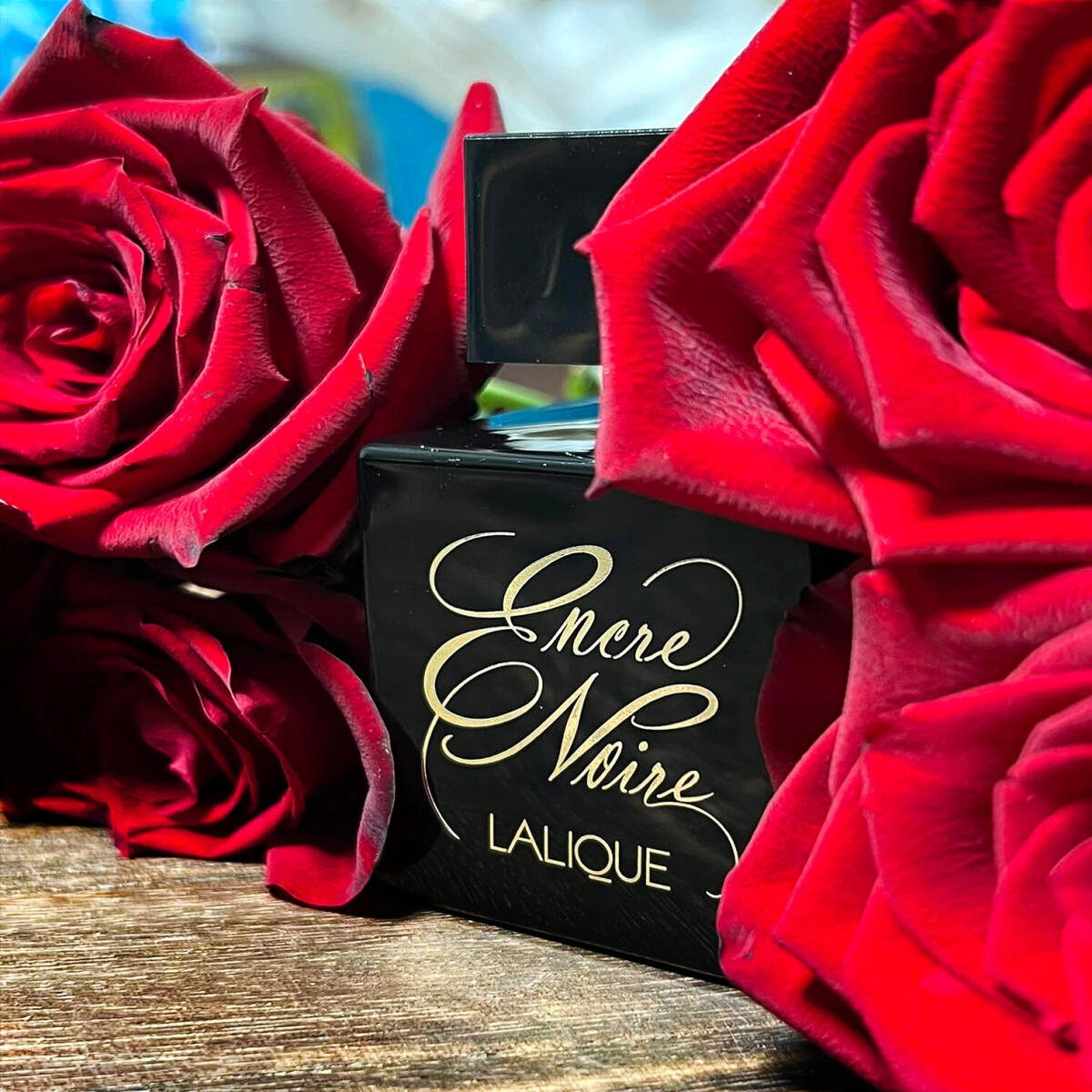 Lalique Encre Noire pour Elle Lalique Encre Noire pour Elle