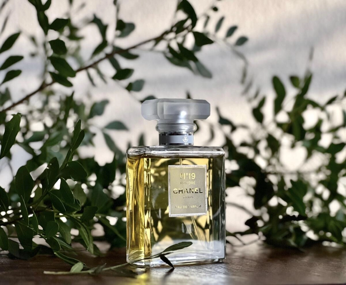 Chanel №19 Poudre Chanel №19 Poudre