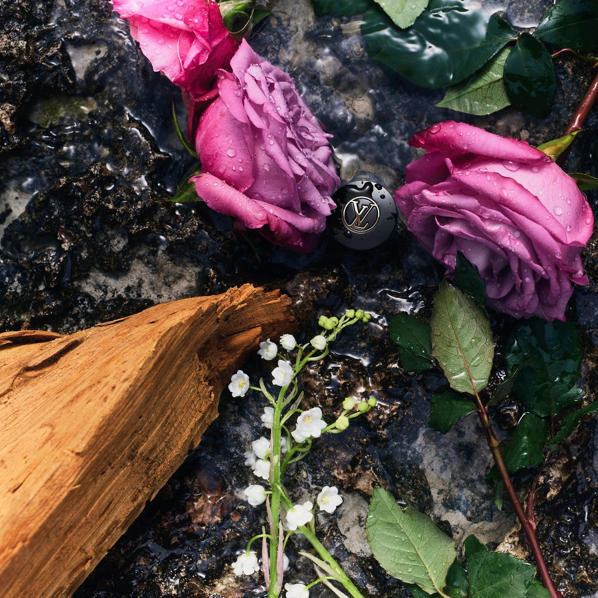 Фото Louis Vuitton eLVes