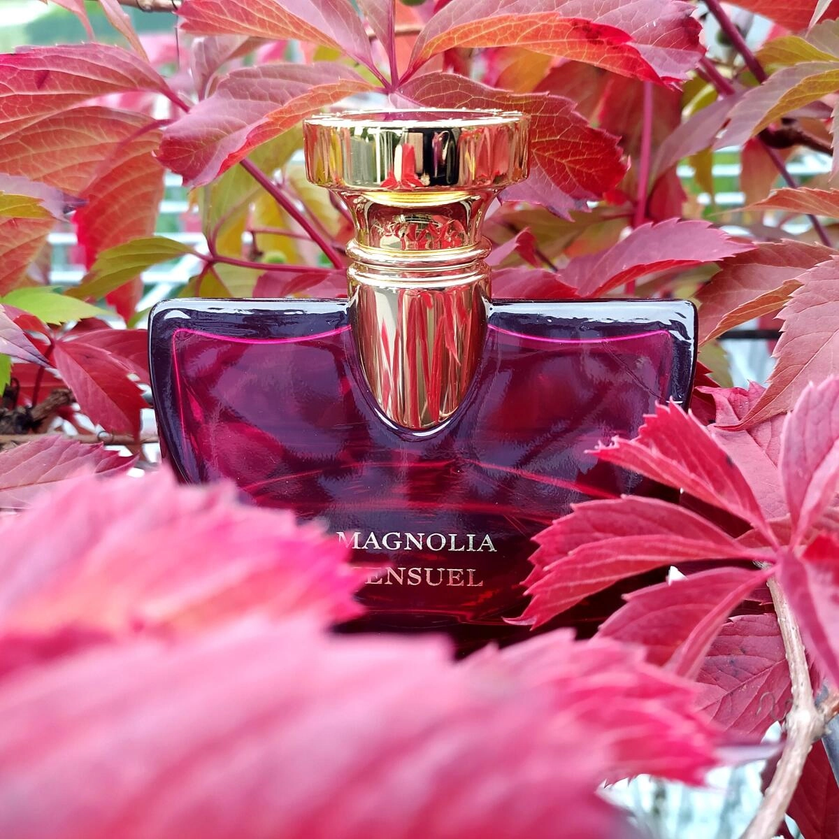 BVLGARI Splendida Magnolia Sensuel BVLGARI Splendida Magnolia Sensuel