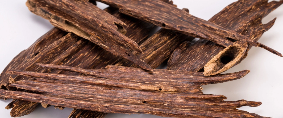 Фото Тайский уд