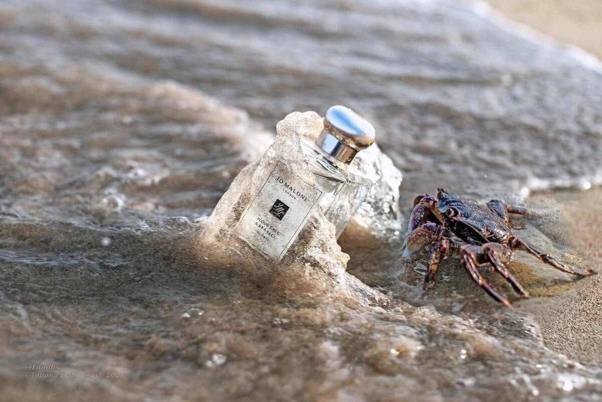 Jo Malone Wood Sage & Sea Salt Jo Malone Wood Sage & Sea Salt