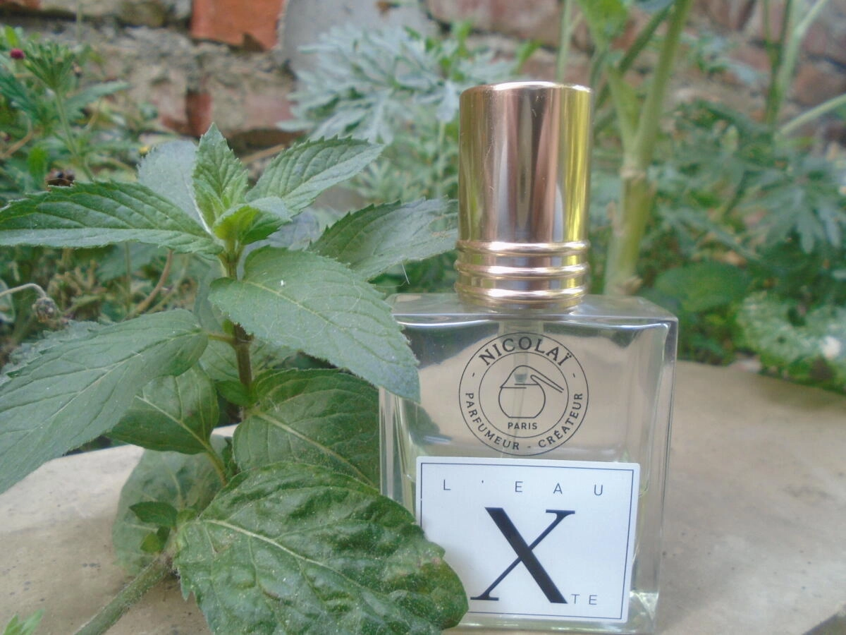 NICOLAI L'Eau Mixte NICOLAI L'Eau Mixte