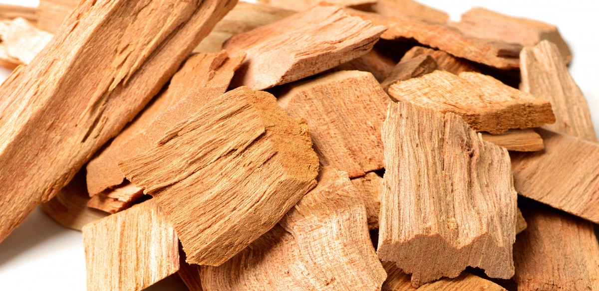 Фото Митти Аттар