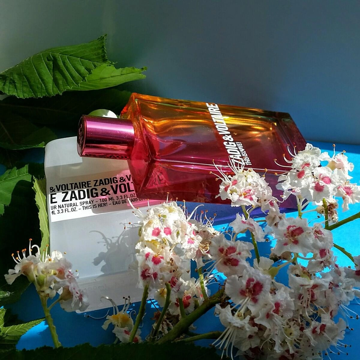 ZADIG & VOLTAIRE This Is Love! for Her ZADIG & VOLTAIRE This Is Love! for Her