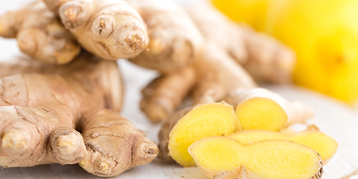 Фото Имбирь