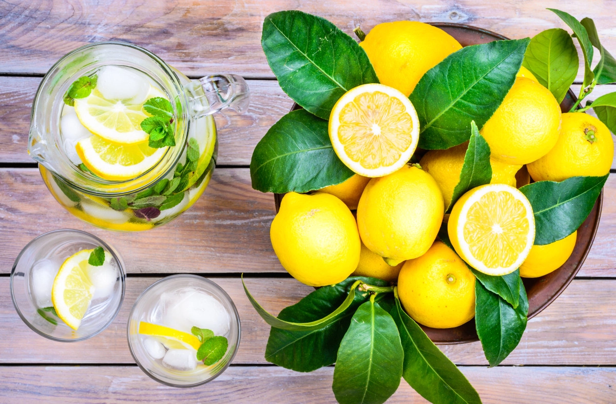 Фото Бергамот