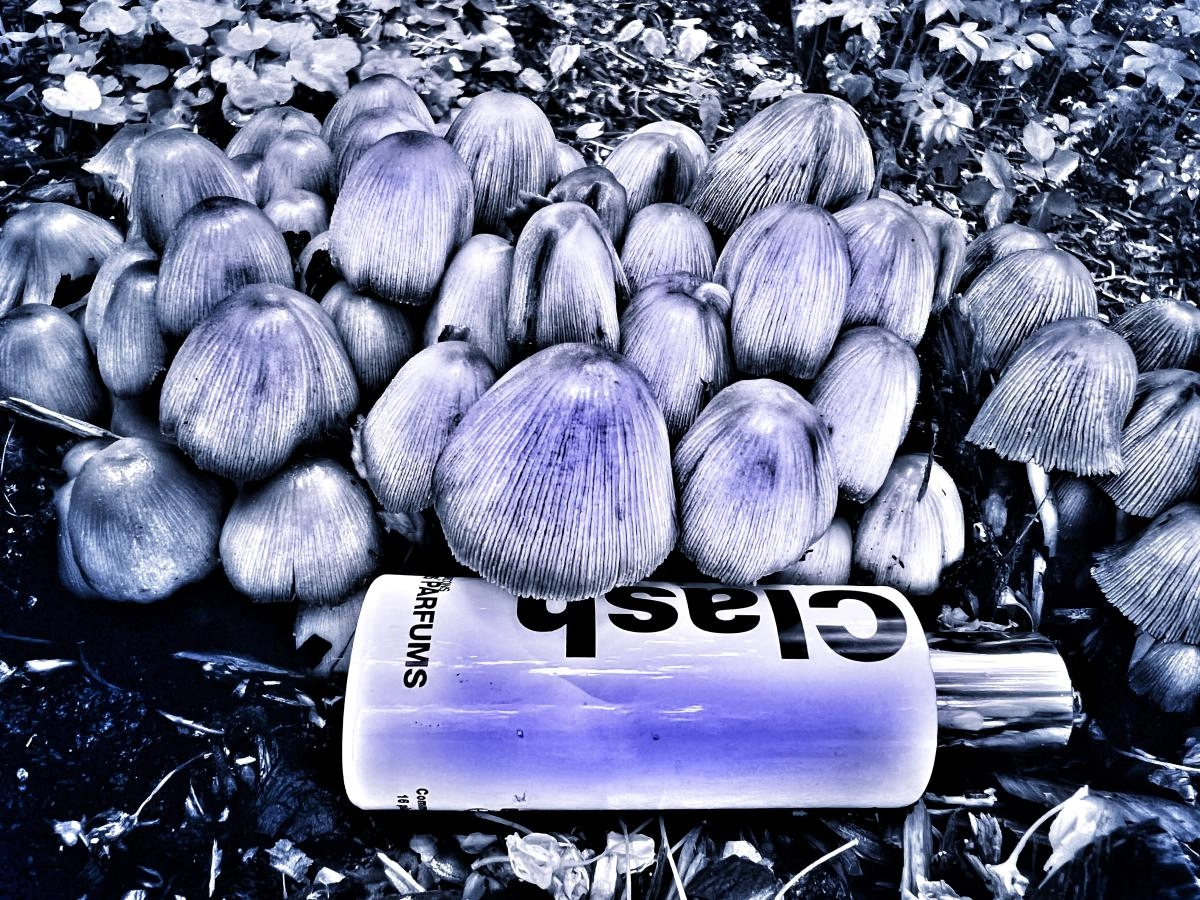 Comme des Garcons Radish Vetiver Comme des Garcons Radish Vetiver
