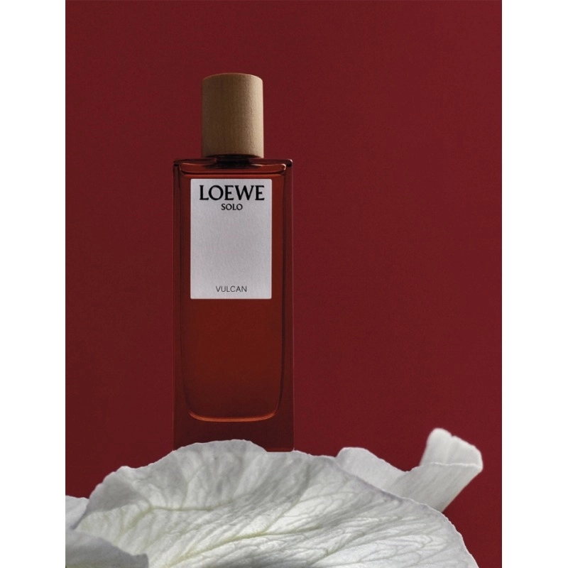 Фото Loewe Solo Vulcan