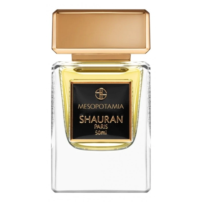 Фото Shauran Mesopotamia