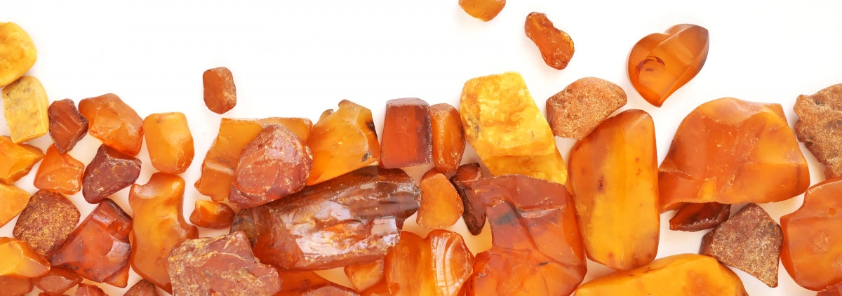 Фото Сильколид