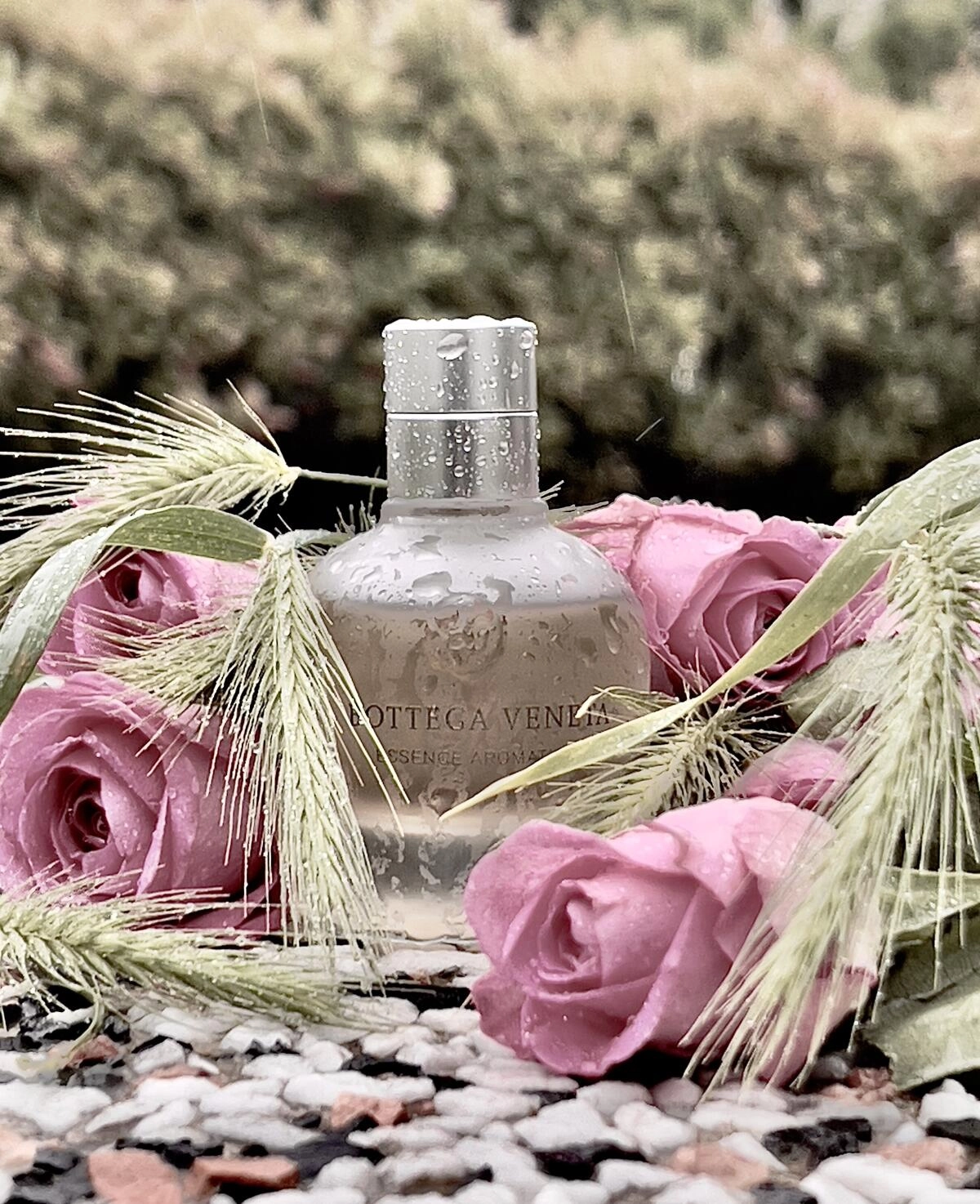 Bottega Veneta Essence Aromatique Bottega Veneta Essence Aromatique