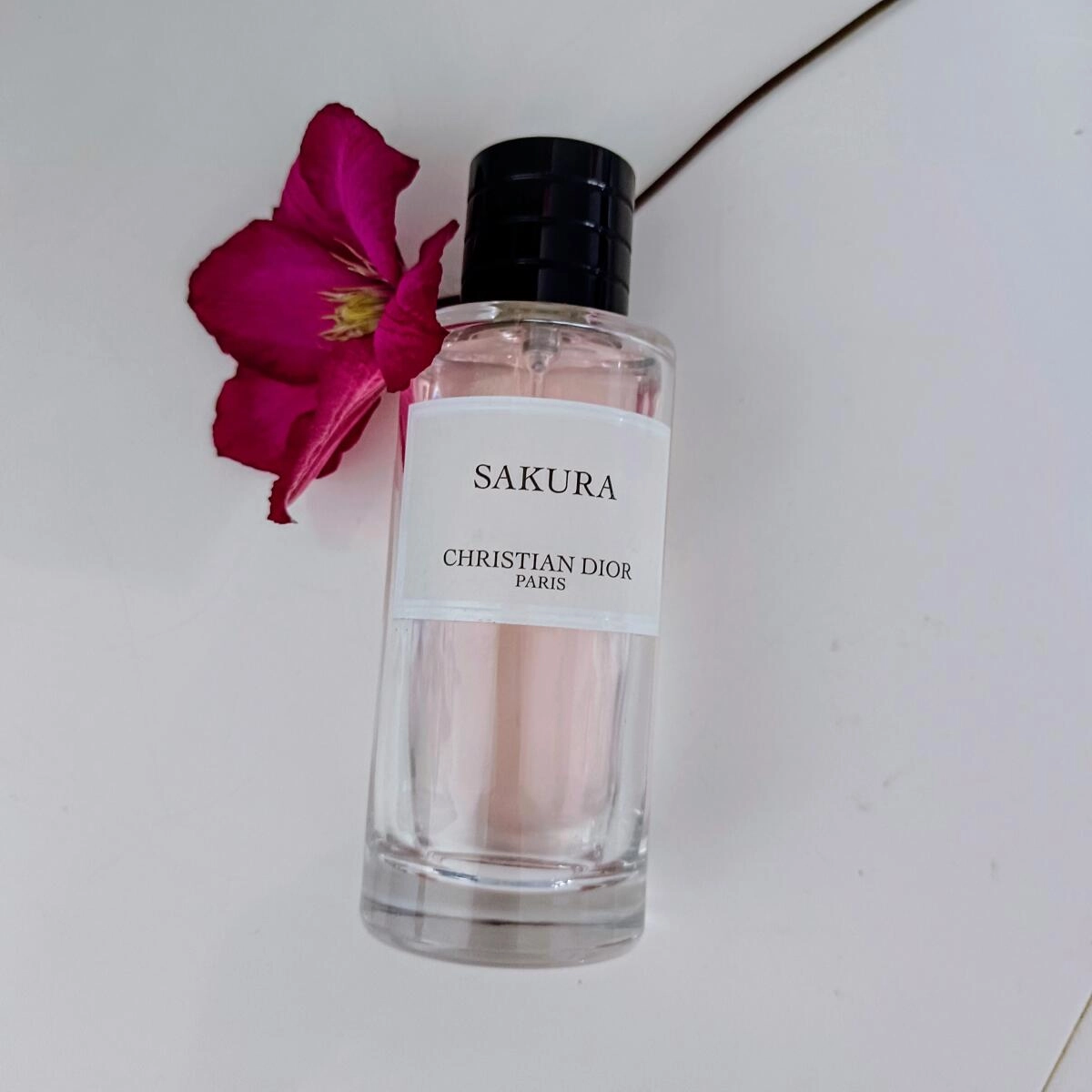 Christian Dior Sakura Christian Dior Sakura