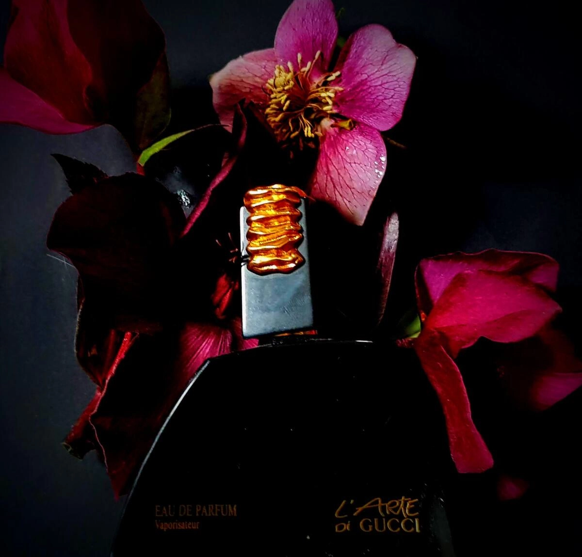 L`Arte de Gucci L`Arte de Gucci